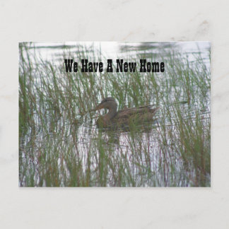 Faire-part Brown Canard Nouvelle adresse Nature Carte postale