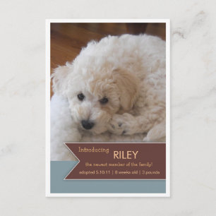 Faire-part Brown de photo de bannière de nouvelle