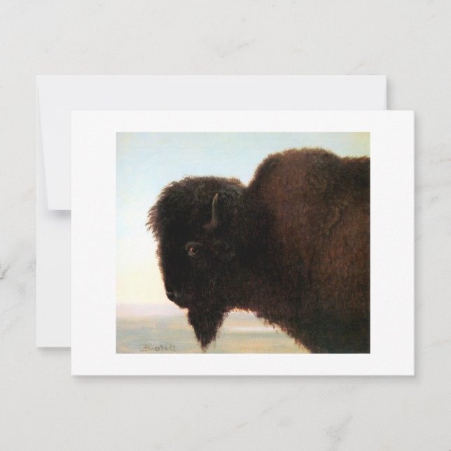 Faire-part Buffalo Head Art Albert Bierstadt peinture de biso (Devant)