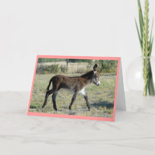 Faire-part "Carte de bébé de burrito "