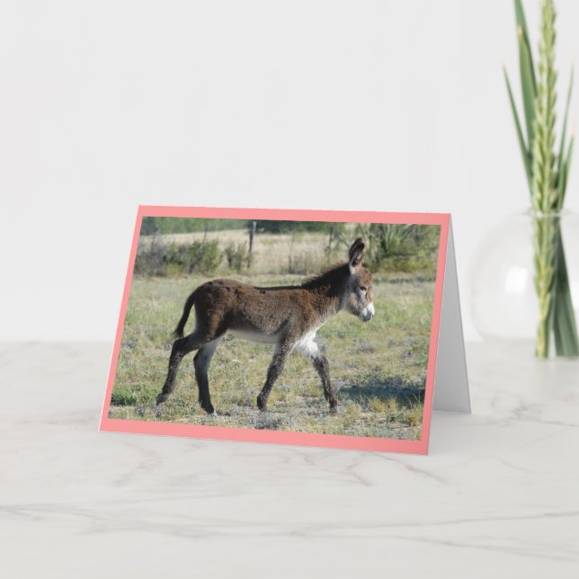 Faire-part "Carte de bébé de burrito " (Devant)