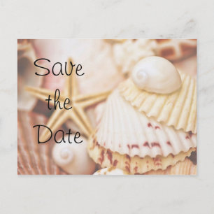 Faire-part Carte postale Coquillage Enregistrez la date