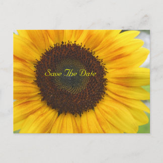 Faire-part Carte postale d'annonce de date de mariage Tournes