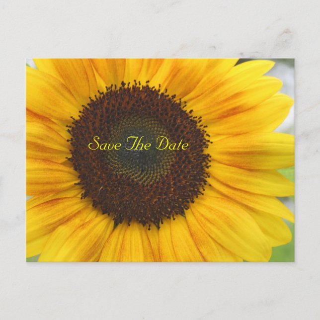 Faire-part Carte postale d'annonce de date de mariage Tournes (Devant)