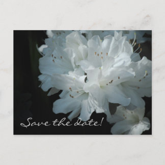 Faire-part Carte postale d'annonce de mariage Azalées blanche