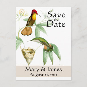 Faire-part Carte postale d'annonce de mariage de colibris