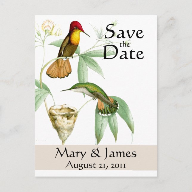 Faire-part Carte postale d'annonce de mariage de colibris (Devant)