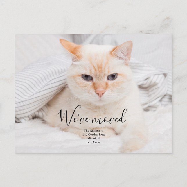 Faire-part Carte postale d'annonce de photo personnalisée (Devant)