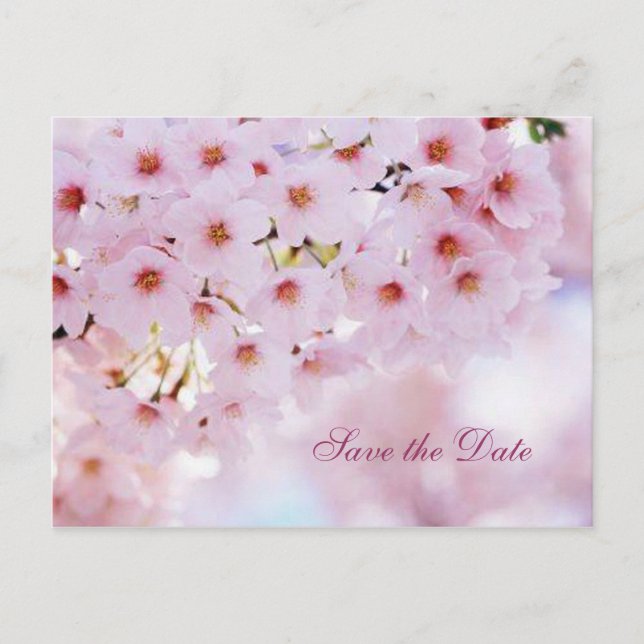 Faire-part Carte postale d'annonce de réservation de date de  (Devant)