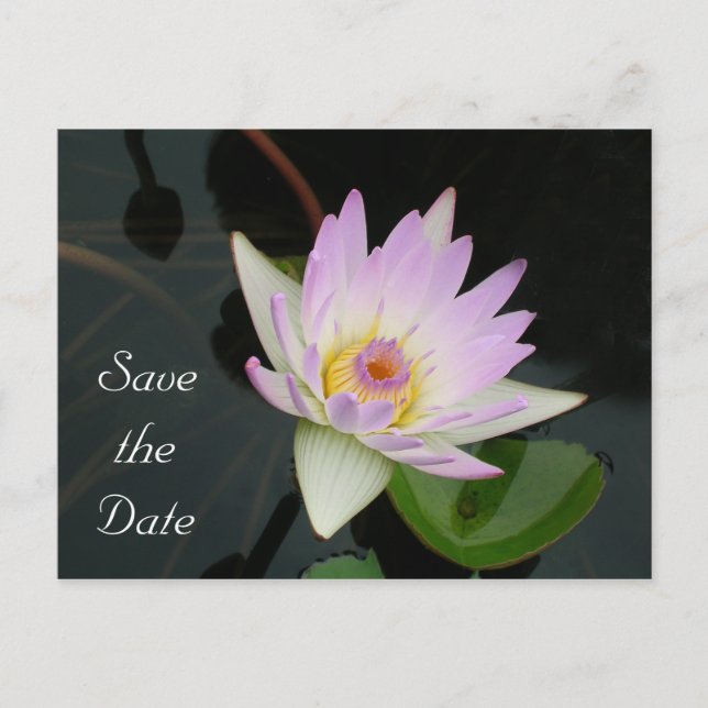 Faire-part Carte postale d'annonce de sauvegarde de la date (Devant)