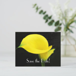 Faire-part Carte postale d'annonce de sauvegarde de l'iris de