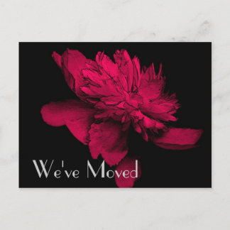Faire-part Carte postale d'art floral de pivoine rouge brûlan
