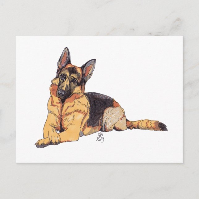 Faire-part Carte postale de berger allemand Doggust 2019 (Devant)