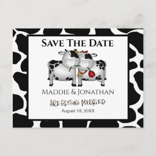 Faire-part Carte postale de mariage amusante avec vaches Save