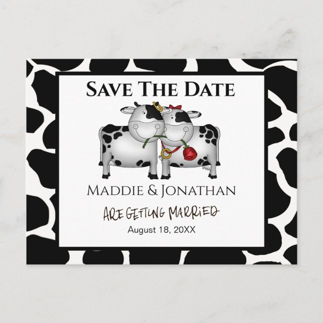 Faire-part Carte postale de mariage amusante avec vaches Save (Devant)