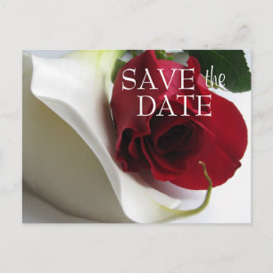 Faire-part Carte postale de sauvegarde de date Calla/Rose