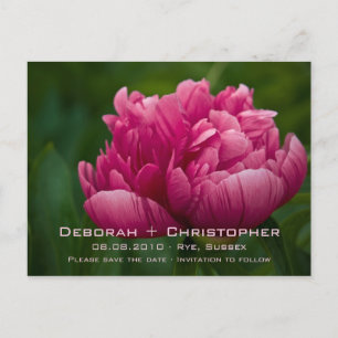 Faire-part Carte postale de sauvegarde de date de Pivoine