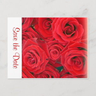 Faire-part Carte postale de sauvegarde de la date - Roses rou
