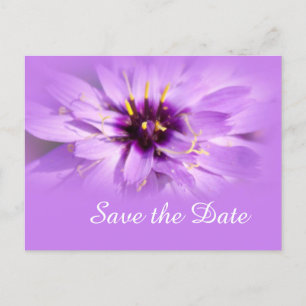 Faire-part Carte postale élégante de marguerite violette pour