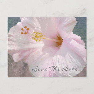 Faire-part Carte postale Enregistrez la date - Mariage sur la