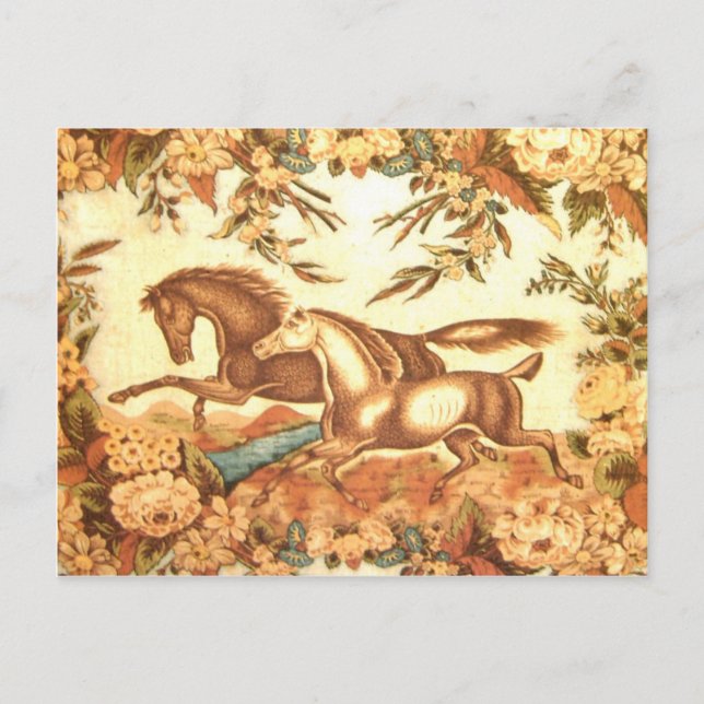 Faire-part Carte postale équestre 1 de cheval (Devant)
