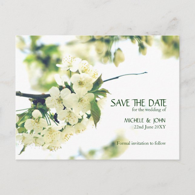 Faire-part Carte postale Fleur de Cerisier Blanc Enregistrer  (Devant)