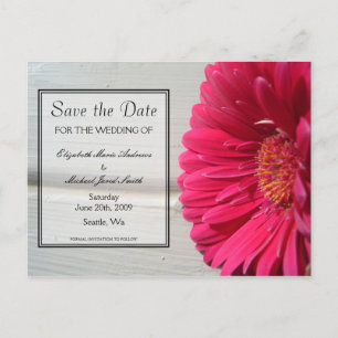 Faire-part Carte postale Fleur de Pâquerette Rose Enregistrez