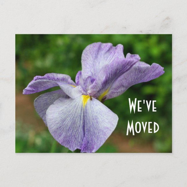 Faire-part Carte postale florale de nouvelle adresse d'Iris j (Devant)