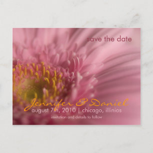 Faire-part Carte postale Gerbera rose • Save the Date