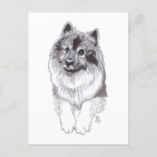 Faire-part Carte postale Keeshond Doggust 2019
