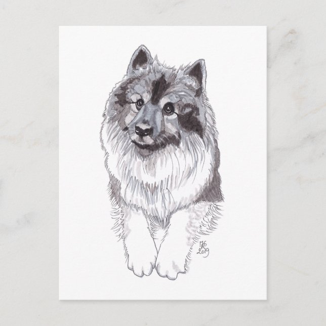 Faire-part Carte postale Keeshond Doggust 2019 (Devant)