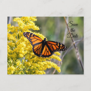 Faire-part Carte postale papillon monarque à la date à reteni