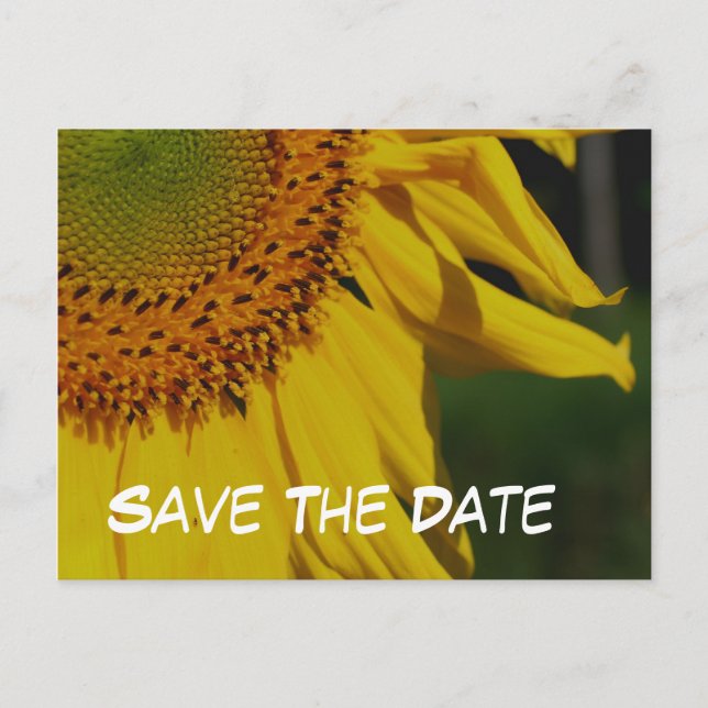 Faire-part Carte postale photo de tournesol Fleur Save The Da (Devant)