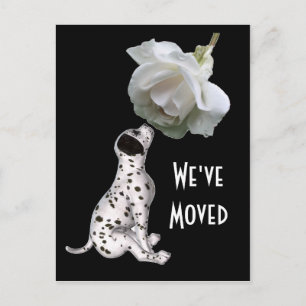 Faire-part Carte Postale Puppy Et Rose Nouvelle Adresse