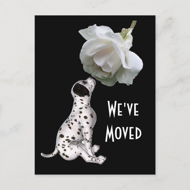 Faire-part Carte Postale Puppy Et Rose Nouvelle Adresse (Devant)