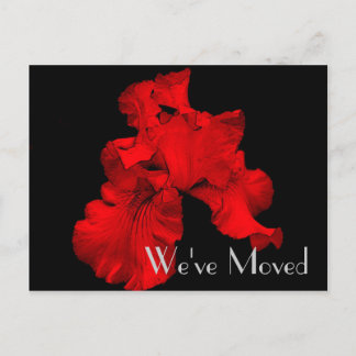 Faire-part Carte postale Red Hot Iris Nouvelle adresse Floral