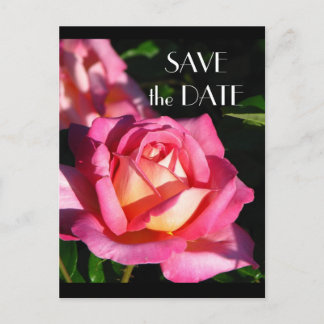 Faire-part Carte postale Rose pour annoncer la date