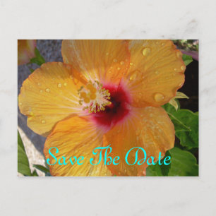 Faire-part Carte postale Save The Date Hibiscus