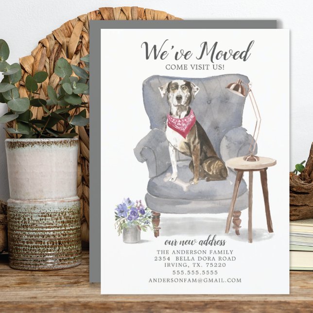 Faire-part Catahoula Leopard Dog | Moving Announcement (Créateur téléchargé)