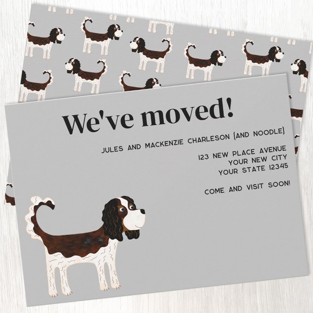 Faire-part Cavalier King Charles Spaniel Dog Moving New Home (Tricolor Cavalier King Charles Spaniel dog new home moving change of address announcement card)