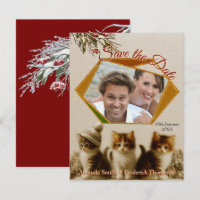 Célébrations d'hiver dans la neige, avec Kittens