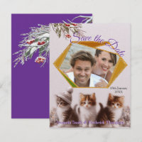 Célébrations d'hiver dans la neige, avec Kittens