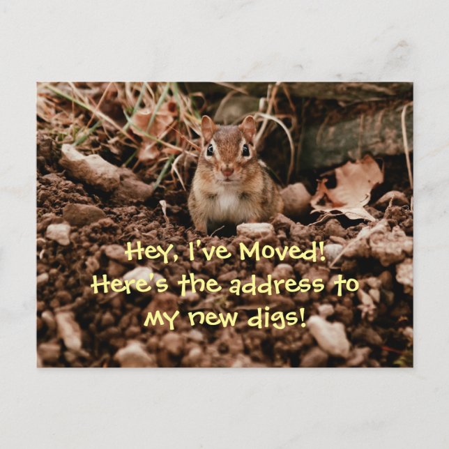 Faire-part Changement d'adresse Chipmunk Carte postale (Devant)