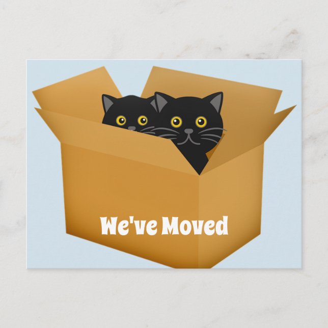 Faire-part Changement d'adresse la carte postale de chats (Devant)