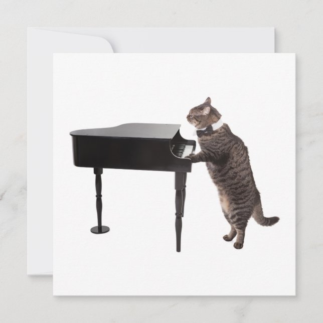 Faire-part Chat Jouer Piano (Devant)