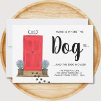 Chez soi, le chien est un animal de compagnie qui