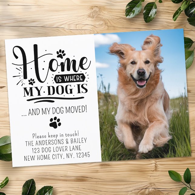 Faire-part Chien mignon Déménagement Nous Avons Déménagé Phot (Créateur téléchargé)