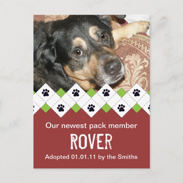 Faire-part d'adoption de chien/chiot (Devant)