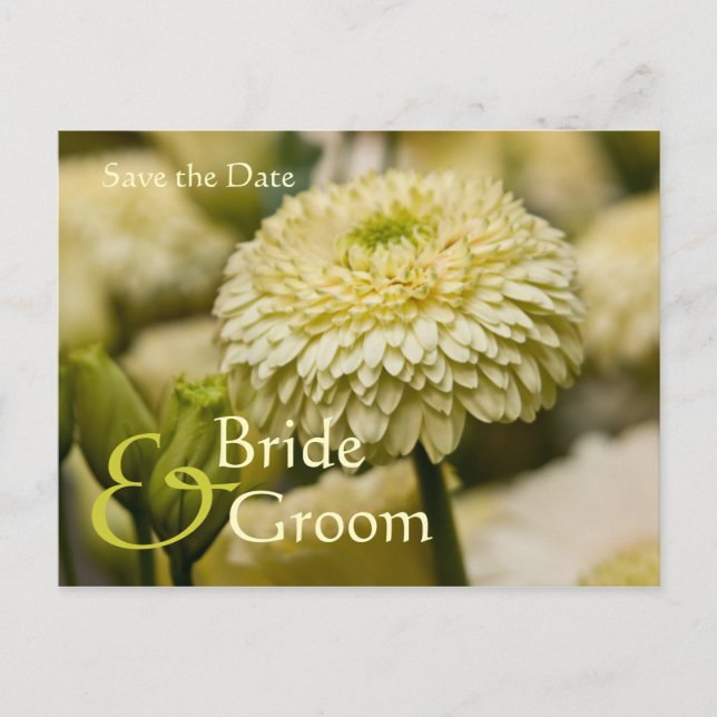 Faire-part Dahlia • Carte postale pour sauvegarder la date (Devant)