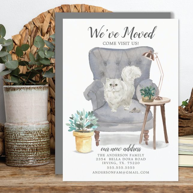 Faire-part de déplacement de chats persans (Créateur téléchargé)